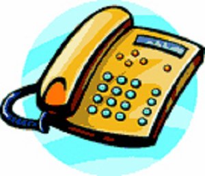 Contact information 