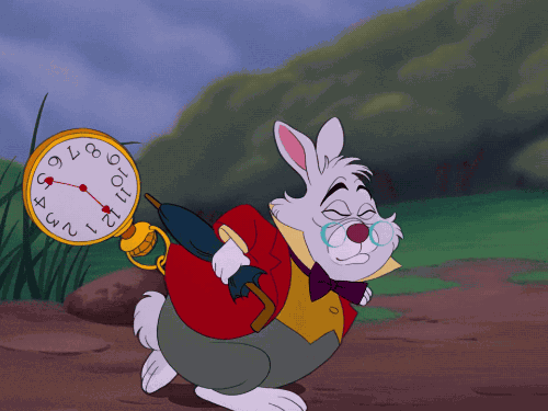 white rabbit 